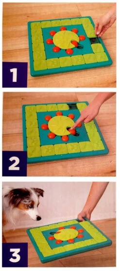 Nina Ottosson Dog MultiPuzzle - Un Jeu Interactif Pour Les Chiens - Niveau 4. -Animaux Fournitures Magasin fre pl Nina Ottosson Dog MultiPuzzle un jeu interactif pour les chiens niveau 4 25960 3