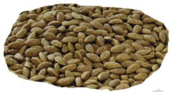 PURINA PRO PLAN PRO PLAN Sensitive Skin Medium & Large Adult Croquettes Riches En Saumon 14kg 9 PURINA PRO PLAN PRO PLAN Sensitive Skin Medium & Large Adult Croquettes Riches En Saumon 14kg -Animaux Fournitures Magasin fre pl PRO PLAN Sensitive Skin Medium Large Adult croquettes riches en saumon 14kg 8521 3