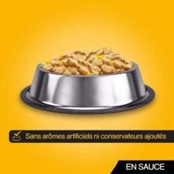 Pedigree Croquettes Pour Chiens Adultes Au Poulet, Au Bœuf, à La Dinde Et à L'agneau 12x100g -Animaux Fournitures Magasin fre pl Pedigree Croquettes pour chiens adultes au poulet au boeuf a la dinde et a lagneau 12x100g 9892 6