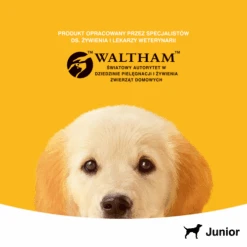 Pedigree Nourriture Humide Pour Chiots Avec Gelée De Poulet 400g X24 -Animaux Fournitures Magasin fre pl Pedigree nourriture humide pour chiots avec gelee de poulet 400g x24 25288 6