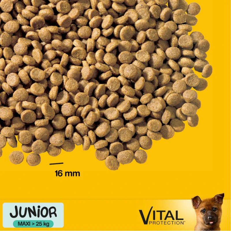 Pedigree Nourriture Sèche Pour Chiots De Grandes Races Et De Races Géantes Avec Poulet Et Riz 15kg 5 Pedigree Nourriture Sèche Pour Chiots De Grandes Races Et De Races Géantes Avec Poulet Et Riz 15kg – Image 3