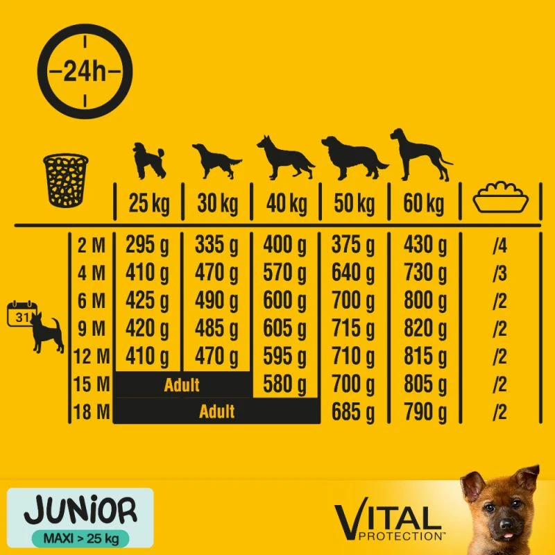 Pedigree Nourriture Sèche Pour Chiots De Grandes Races Et De Races Géantes Avec Poulet Et Riz 15kg 7 Pedigree Nourriture Sèche Pour Chiots De Grandes Races Et De Races Géantes Avec Poulet Et Riz 15kg – Image 5