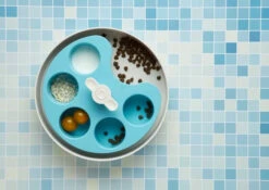 Pet Dream House Spin Palette Blue Medium - Bol Interactif 11 Pet Dream House Spin Palette Blue Medium - Bol Interactif -Animaux Fournitures Magasin fre pl Pet Dream House Spin Palette Blue Medium bol interactif 26102 5