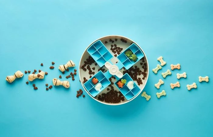 Pet Dream House Spin Windmill Blue Easy - Bol Interactif 3 Pet Dream House Spin Windmill Blue Easy - Bol Interactif