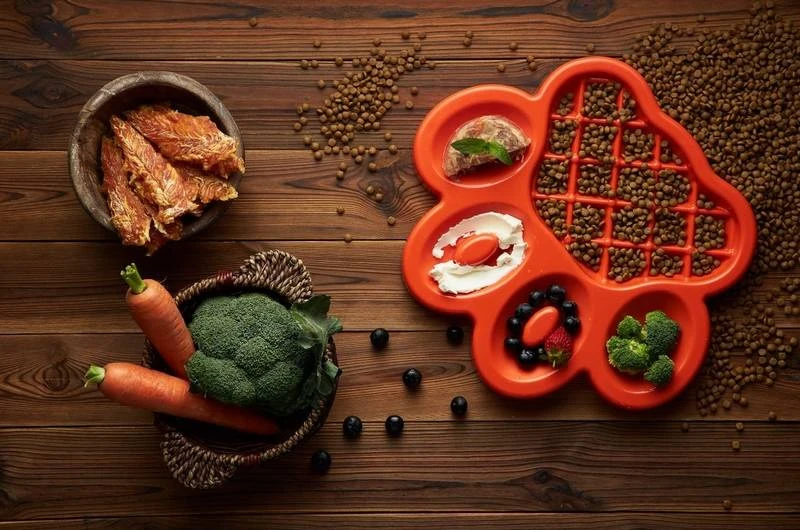 Pet Dream House Bol D'alimentation Lente Orange Easy 4 Pet Dream House Bol D'alimentation Lente Orange Easy – Image 2