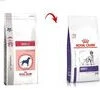 ROYAL CANIN Adult 4kg -Animaux Fournitures Magasin fre pl ROYAL CANIN Adult 4kg 15946 1
