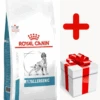 ROYAL CANIN Anallergenic 8kg + Surprise Pour Votre Chien GRATUITES ! 1 ROYAL CANIN Anallergenic 8kg + Surprise Pour Votre Chien GRATUITES ! -Animaux Fournitures Magasin fre pl ROYAL CANIN Anallergenic 8kg surprise pour votre chien GRATUITES 25252 4