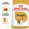 ROYAL CANIN Beagle Adult 12kg 1 ROYAL CANIN Beagle Adult 12kg -Animaux Fournitures Magasin fre pl ROYAL CANIN Beagle Adult 12kg 16915 1
