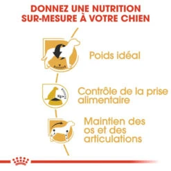 ROYAL CANIN Beagle Adult 12kg 11 ROYAL CANIN Beagle Adult 12kg -Animaux Fournitures Magasin fre pl ROYAL CANIN Beagle Adult 12kg 16915 4