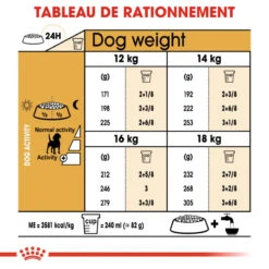 ROYAL CANIN Beagle Adult 12kg 12 ROYAL CANIN Beagle Adult 12kg -Animaux Fournitures Magasin fre pl ROYAL CANIN Beagle Adult 12kg 16915 5