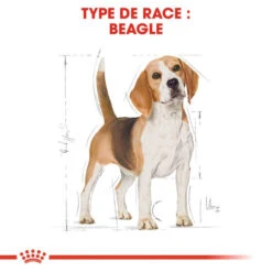 ROYAL CANIN Beagle Adult 12kg 13 ROYAL CANIN Beagle Adult 12kg -Animaux Fournitures Magasin fre pl ROYAL CANIN Beagle Adult 12kg 16915 6