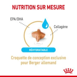 ROYAL CANIN Berger Allemand Adult 5+ 3kg 10 ROYAL CANIN Berger Allemand Adult 5+ 3kg -Animaux Fournitures Magasin fre pl ROYAL CANIN Berger Allemand Adult 5 3kg 12524 3