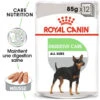 ROYAL CANIN CCN Digestive Care Pâté 12x85g 1 ROYAL CANIN CCN Digestive Care Pâté 12x85g -Animaux Fournitures Magasin fre pl ROYAL CANIN CCN Digestive Care Pate 12x85g 10093 1