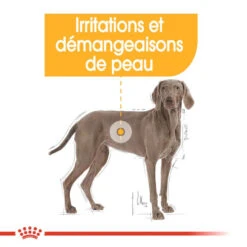 ROYAL CANIN CCN Maxi Dermacomfort 3kg 13 ROYAL CANIN CCN Maxi Dermacomfort 3kg -Animaux Fournitures Magasin fre pl ROYAL CANIN CCN Maxi Dermacomfort 3kg 16272 7