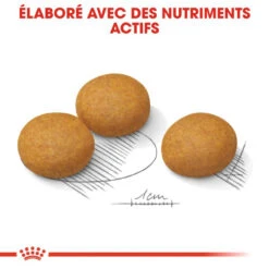 ROYAL CANIN CCN Maxi Dermacomfort 3kg 10 ROYAL CANIN CCN Maxi Dermacomfort 3kg -Animaux Fournitures Magasin fre pl ROYAL CANIN CCN Maxi Dermacomfort 3kg 16272 9