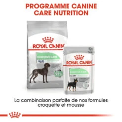 ROYAL CANIN CCN Maxi Digestive Care 3kg 12 ROYAL CANIN CCN Maxi Digestive Care 3kg -Animaux Fournitures Magasin fre pl ROYAL CANIN CCN Maxi Digestive Care 3kg 10070 6