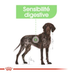 ROYAL CANIN CCN Maxi Digestive Care 3kg 13 ROYAL CANIN CCN Maxi Digestive Care 3kg -Animaux Fournitures Magasin fre pl ROYAL CANIN CCN Maxi Digestive Care 3kg 10070 7