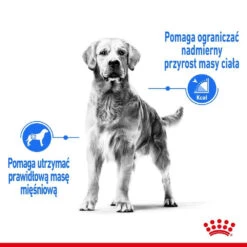 ROYAL CANIN CCN Maxi Light Weight Care 12kg Croquettes Pour Chiens Adultes, Grandes Races Sujettes Au Surpoids + Surprise Pour Chien Gratuite 11 ROYAL CANIN CCN Maxi Light Weight Care 12kg Croquettes Pour Chiens Adultes, Grandes Races Sujettes Au Surpoids + Surprise Pour Chien Gratuite -Animaux Fournitures Magasin fre pl ROYAL CANIN CCN Maxi Light Weight Care 12kg croquettes pour chiens adultes grandes races sujettes au surpoids surprise pour chien gratuite 25889 4