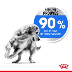 ROYAL CANIN CCN Maxi Light Weight Care 3kg 12 ROYAL CANIN CCN Maxi Light Weight Care 3kg -Animaux Fournitures Magasin fre pl ROYAL CANIN CCN Maxi Light Weight Care 3kg 10055 6
