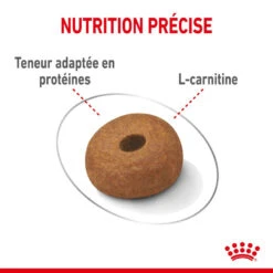 ROYAL CANIN CCN Maxi Light Weight Care 3kg 10 ROYAL CANIN CCN Maxi Light Weight Care 3kg -Animaux Fournitures Magasin fre pl ROYAL CANIN CCN Maxi Light Weight Care 3kg 10055 8