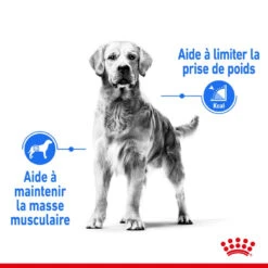 ROYAL CANIN CCN Maxi Light Weight Care 3kg 13 ROYAL CANIN CCN Maxi Light Weight Care 3kg -Animaux Fournitures Magasin fre pl ROYAL CANIN CCN Maxi Light Weight Care 3kg 10055 9