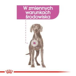 ROYAL CANIN CCN Maxi Relax Care 9kg -Animaux Fournitures Magasin fre pl ROYAL CANIN CCN Maxi Relax Care 9kg 10071 2
