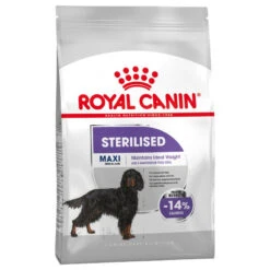 ROYAL CANIN CCN Maxi Sterilised 3kg 12 ROYAL CANIN CCN Maxi Sterilised 3kg -Animaux Fournitures Magasin fre pl ROYAL CANIN CCN Maxi Sterilised 3kg 10072 5