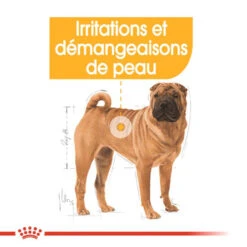 ROYAL CANIN CCN Medium Dermacomfort 3kg -Animaux Fournitures Magasin fre pl ROYAL CANIN CCN Medium Dermacomfort 3kg 16276 2