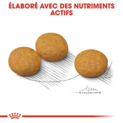 ROYAL CANIN CCN Medium Dermacomfort 3kg -Animaux Fournitures Magasin fre pl ROYAL CANIN CCN Medium Dermacomfort 3kg 16276 4