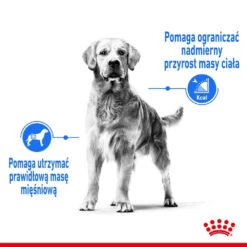 ROYAL CANIN CCN Medium Light Weight Care 12kg Nourriture Sèche Pour Chiens Adultes, Races Moyennes Sujettes à L'embonpoint 11 ROYAL CANIN CCN Medium Light Weight Care 12kg Nourriture Sèche Pour Chiens Adultes, Races Moyennes Sujettes à L'embonpoint -Animaux Fournitures Magasin fre pl ROYAL CANIN CCN Medium Light Weight Care 12kg nourriture seche pour chiens adultes races moyennes sujettes a lembonpoint 26050 4
