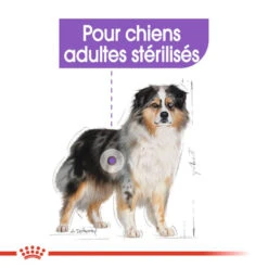 ROYAL CANIN CCN Medium Sterilised 3kg X2 10 ROYAL CANIN CCN Medium Sterilised 3kg X2 -Animaux Fournitures Magasin fre pl ROYAL CANIN CCN Medium Sterilised 3kg x2 30718 5