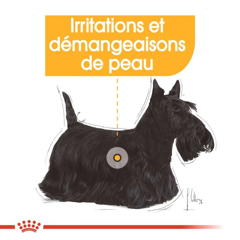 ROYAL CANIN CCN Mini Dermacomfort 3kg 7 ROYAL CANIN CCN Mini Dermacomfort 3kg – Image 5