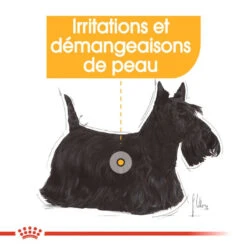 ROYAL CANIN CCN Mini Dermacomfort 3kg + OVER ZOO Délicatesse 100g GRATUIT 12 ROYAL CANIN CCN Mini Dermacomfort 3kg + OVER ZOO Délicatesse 100g GRATUIT -Animaux Fournitures Magasin fre pl ROYAL CANIN CCN Mini Dermacomfort 3kg OVER ZOO Delicatesse 100g GRATUIT 30806 4