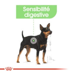 ROYAL CANIN CCN Mini Digestive Care 3kg 12 ROYAL CANIN CCN Mini Digestive Care 3kg -Animaux Fournitures Magasin fre pl ROYAL CANIN CCN Mini Digestive Care 3kg 16288 7