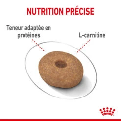 ROYAL CANIN CCN Mini Light Weight Care 1kg +OVER ZOO Délicatesse 100g GRATUIT -Animaux Fournitures Magasin fre pl ROYAL CANIN CCN Mini Light Weight Care 1kg OVER ZOO Delicatesse 100g GRATUIT 30801 6