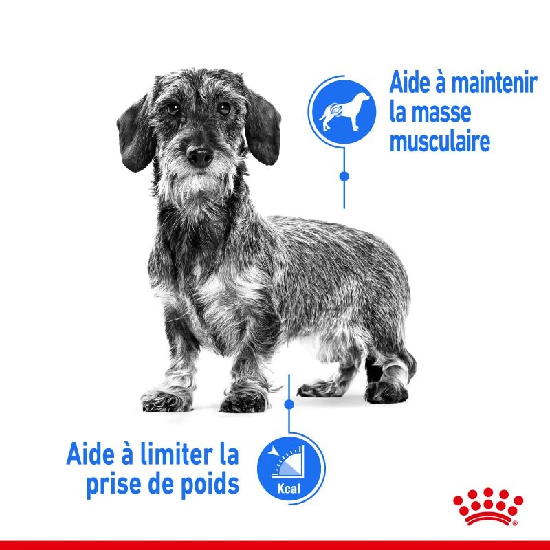 ROYAL CANIN CCN Mini Light Weight Care 8kg 6 ROYAL CANIN CCN Mini Light Weight Care 8kg – Image 4