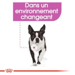 ROYAL CANIN CCN Mini Relax Care 1kg -Animaux Fournitures Magasin fre pl ROYAL CANIN CCN Mini Relax Care 1kg 16289 6