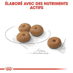 ROYAL CANIN CCN Mini Sterilised 8kg -Animaux Fournitures Magasin fre pl ROYAL CANIN CCN Mini Sterilised 8kg 16292 4