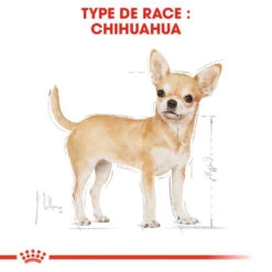 ROYAL CANIN Chihuahua Adult 500g X2 -Animaux Fournitures Magasin fre pl ROYAL CANIN Chihuahua Adult 500g x2 30761 3