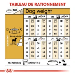 ROYAL CANIN Chihuahua Adult 500g X2 -Animaux Fournitures Magasin fre pl ROYAL CANIN Chihuahua Adult 500g x2 30761 6