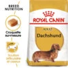ROYAL CANIN Dachshund Adult 1,5kg 2 ROYAL CANIN Dachshund Adult 1,5kg -Animaux Fournitures Magasin fre pl ROYAL CANIN Dachshund Adult 1 5kg 15974 1