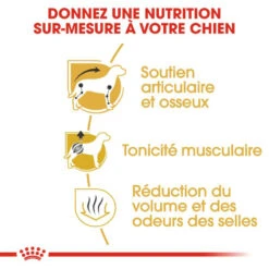 ROYAL CANIN Dachshund Adult 1,5kg -Animaux Fournitures Magasin fre pl ROYAL CANIN Dachshund Adult 1 5kg 15974 4
