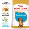 ROYAL CANIN Dachshund Puppy 1,5kg 1 ROYAL CANIN Dachshund Puppy 1,5kg -Animaux Fournitures Magasin fre pl ROYAL CANIN Dachshund Puppy 1 5kg 15331 1
