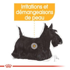 ROYAL CANIN Dermacomfort Pâté 12x85g 11 ROYAL CANIN Dermacomfort Pâté 12x85g -Animaux Fournitures Magasin fre pl ROYAL CANIN Dermacomfort Pate 12x85g 10092 4