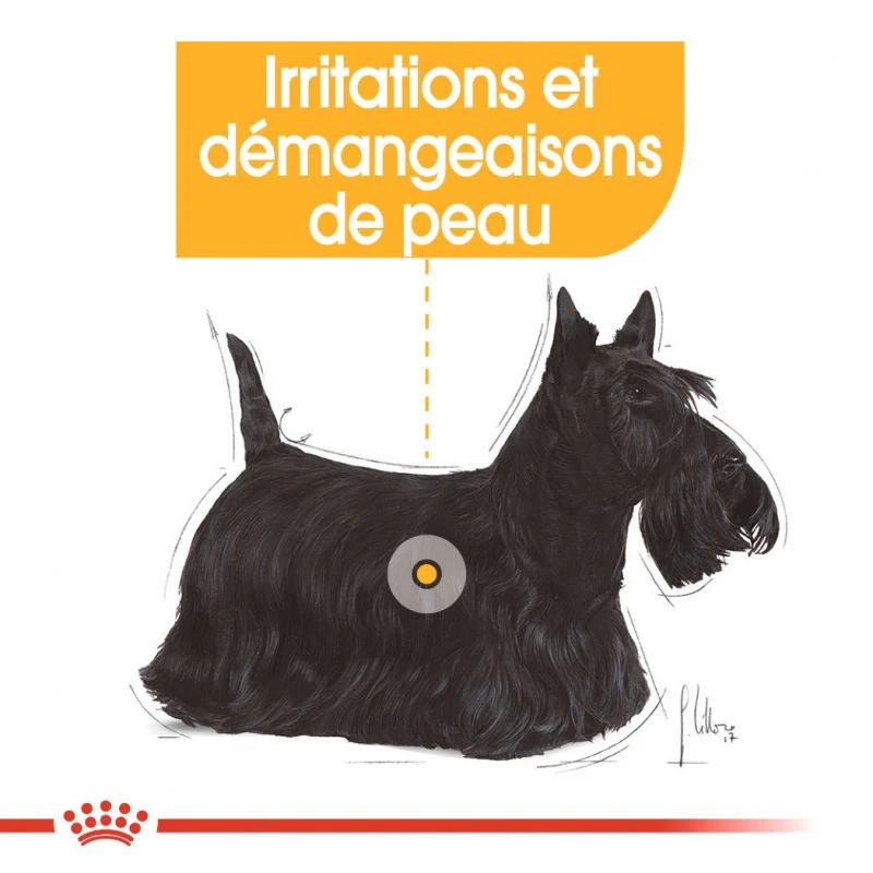 ROYAL CANIN Dermacomfort Pâté 12x85g 6 ROYAL CANIN Dermacomfort Pâté 12x85g – Image 4