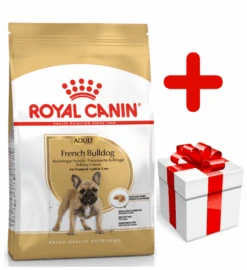 ROYAL CANIN French Bulldog Adult 9kg + Surprise Pour Votre Chien GRATUITES !