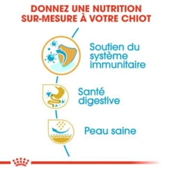 ROYAL CANIN French Bulldog Puppy 3kg 10 ROYAL CANIN French Bulldog Puppy 3kg -Animaux Fournitures Magasin fre pl ROYAL CANIN French Bulldog Puppy 3kg 15997 5