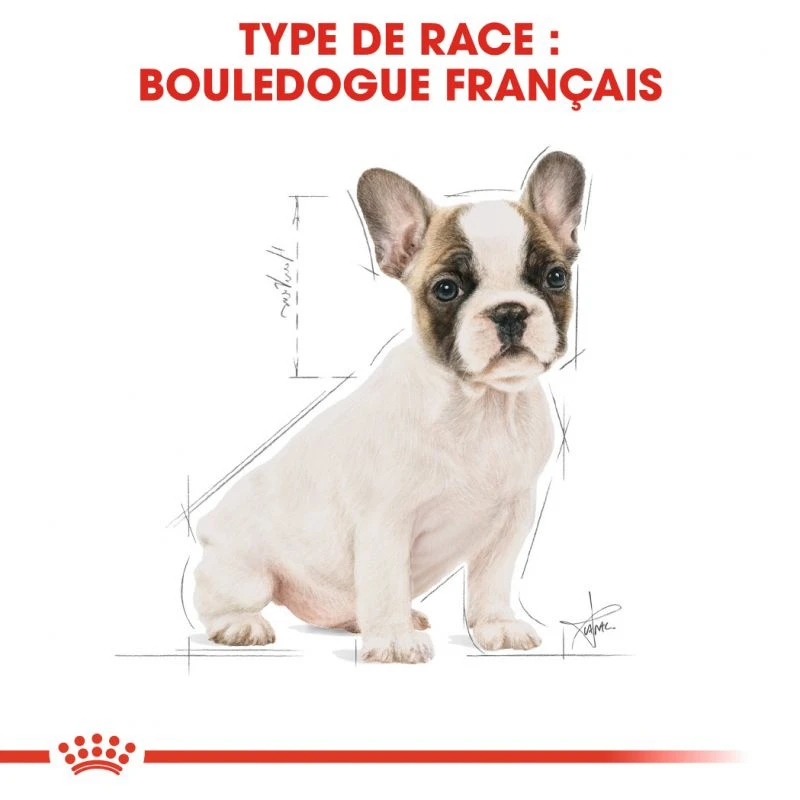 ROYAL CANIN French Bulldog Puppy 3kg 7 ROYAL CANIN French Bulldog Puppy 3kg – Image 5