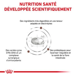 ROYAL CANIN Gastrointestinal Dog 7,5kg -Animaux Fournitures Magasin fre pl ROYAL CANIN Gastrointestinal Dog 7 5kg 15999 1