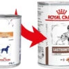 ROYAL CANIN Gastrointestinal Low Fat 410g X 5 2 ROYAL CANIN Gastrointestinal Low Fat 410g X 5 -Animaux Fournitures Magasin fre pl ROYAL CANIN Gastrointestinal Low Fat 410g x 5 30035 1